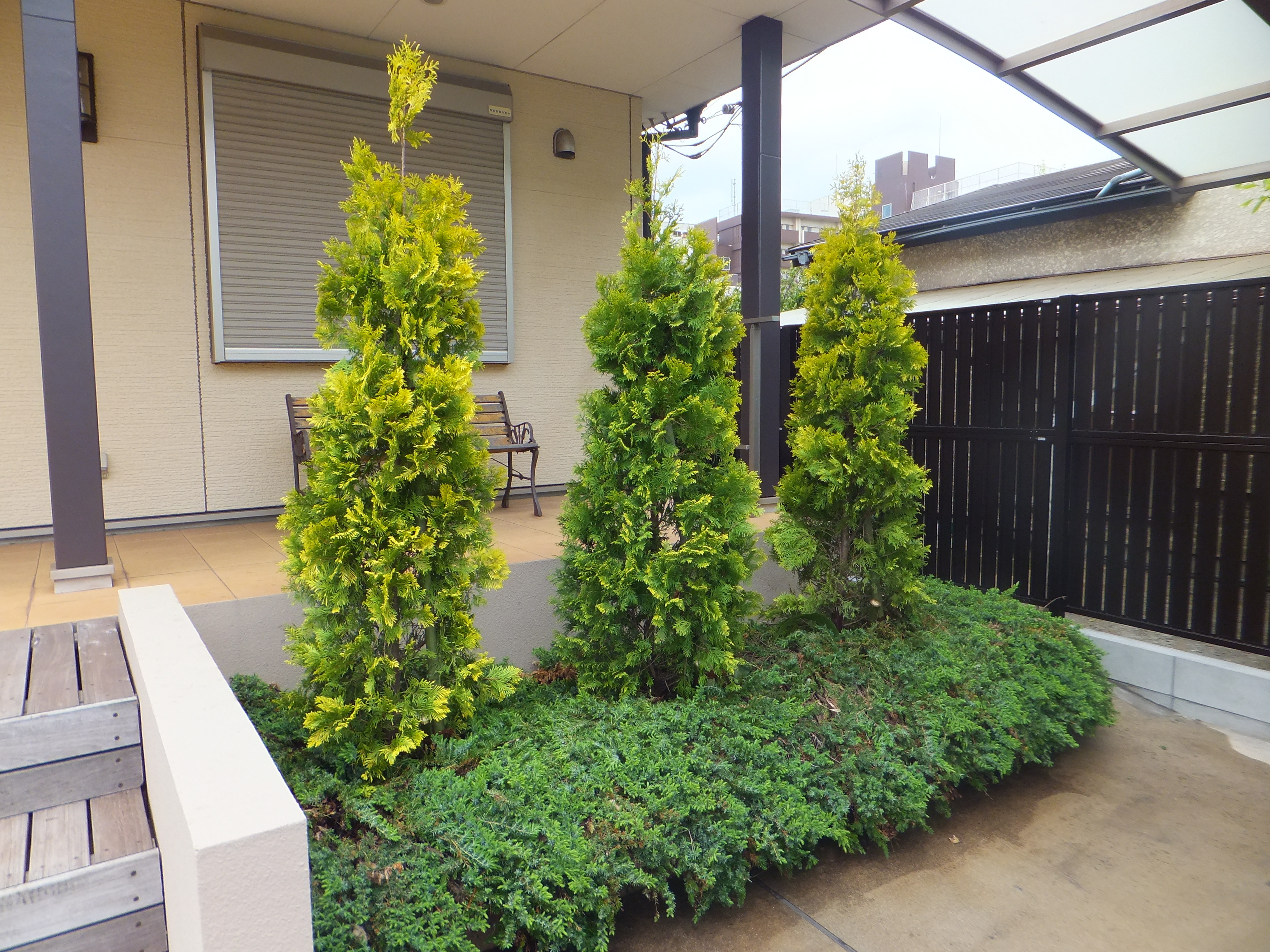 新しく庭木を植えましょう!